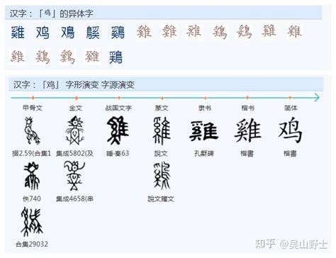 雞垂意思|「雞」、「鷄」、「鳮」有什麼區別和不同？